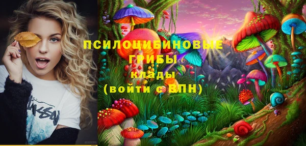 первитин Лиски
