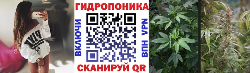 Марихуана индика Никольск